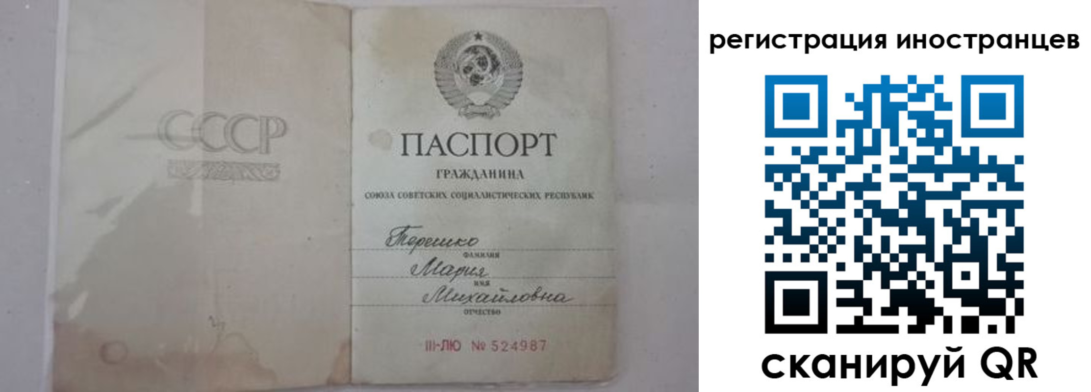 прописка паспорт в Нелидово